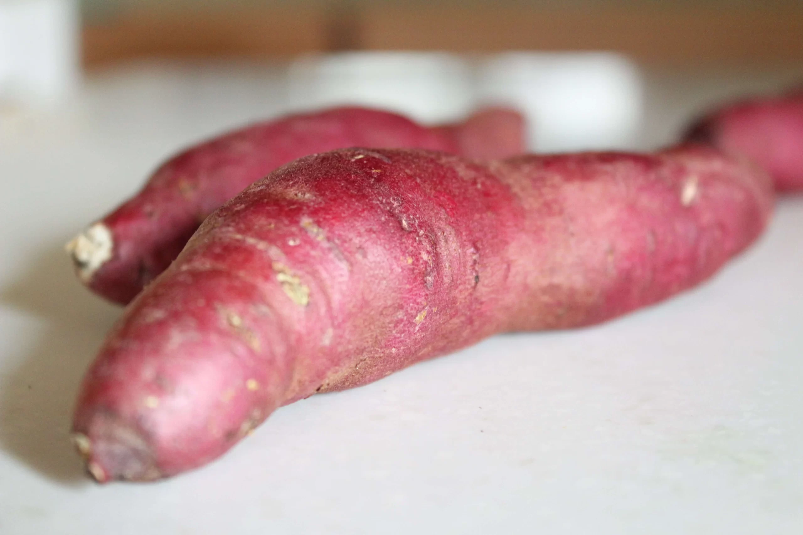 Como plantar batata doce em Portugal: 7 dicas